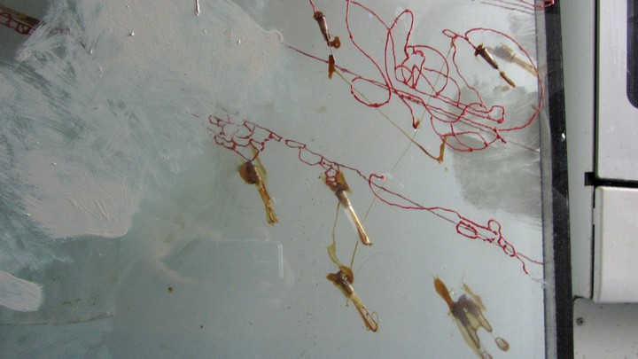 720long cont 20 bright 20 IMG_4036