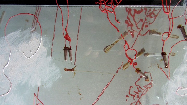 720long cont 20 bright 20 IMG_4038