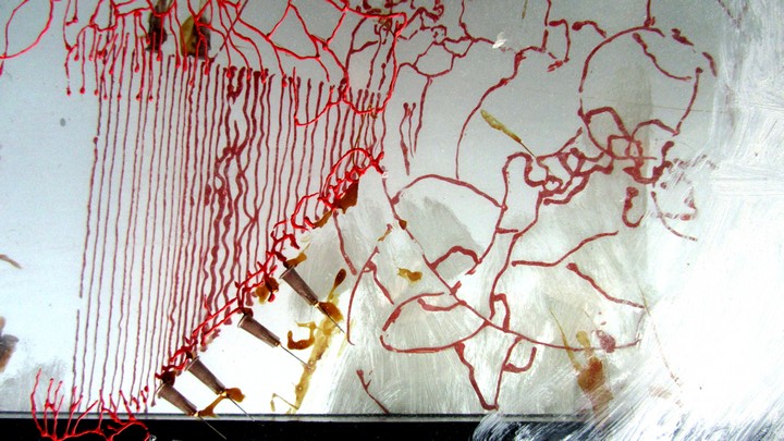 720long cont 20 bright 20 IMG_4043