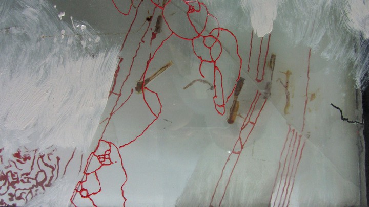 720long cont 20 bright 20 IMG_4045