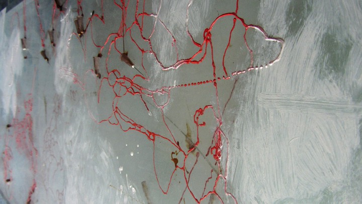 720long cont 20 bright 20 IMG_4046