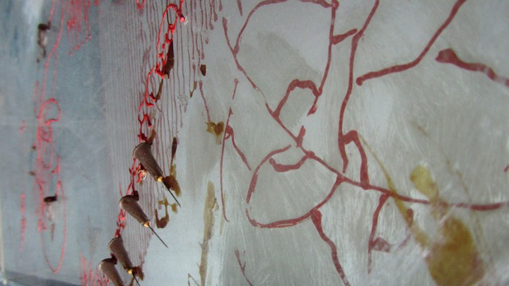 720long cont 20 bright 20 IMG_4050