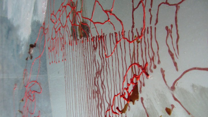 720long cont 20 bright 20 IMG_4051