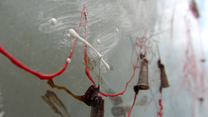 720long cont 20 bright 20 IMG_4053