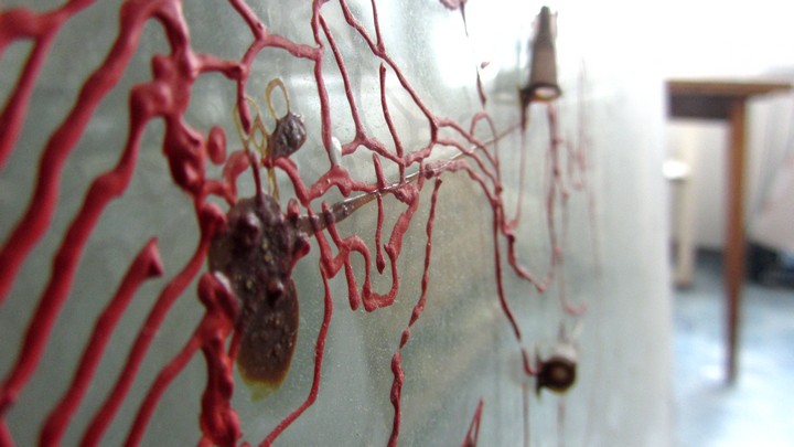 720long cont 20 bright 20 IMG_4054