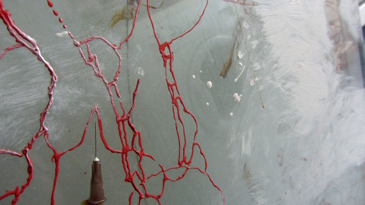 720long cont 20 bright 20 IMG_4057