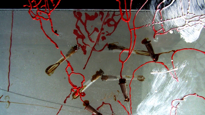 720long cont 20 bright 20 IMG_4058