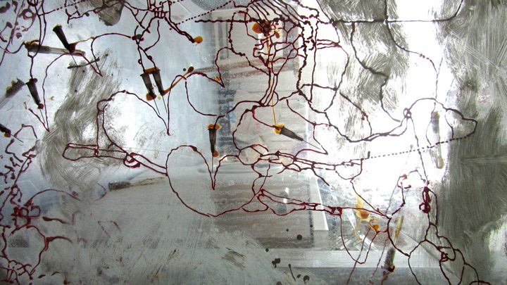 720long cont 20 bright 20 IMG_4059