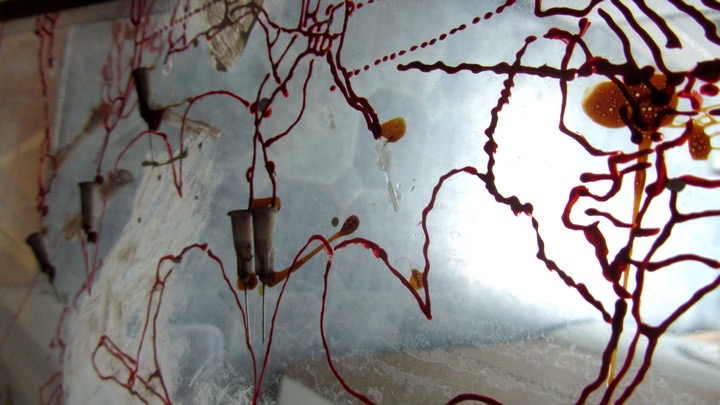 720long cont 20 bright 20 IMG_4062