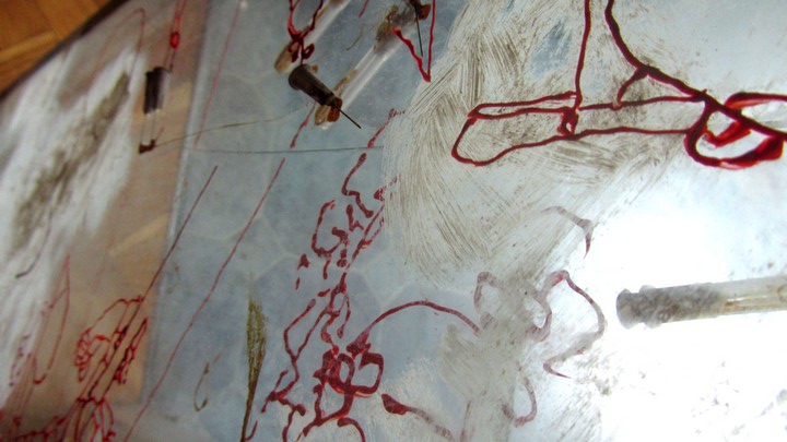 720long cont 20 bright 20 IMG_4064